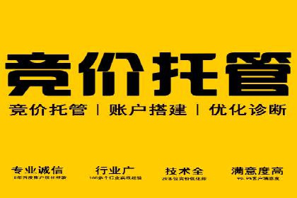 某品牌通过百度广告实现快速增长的案例